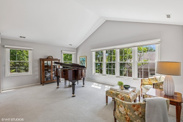 315 Princeton Ln, Glenview, IL 60026 - living area featuring healthy amount of natural light, carpet flooring, and lofted ceiling