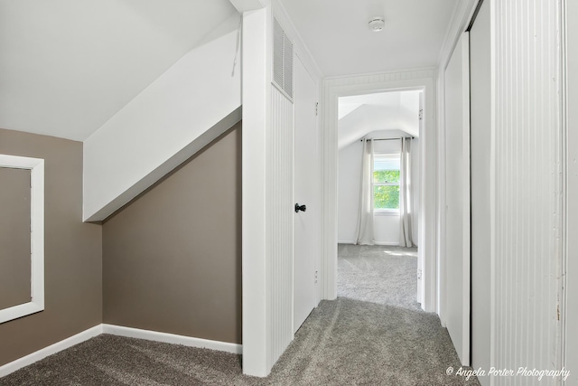 5535 Wonder Woods Dr, Wonder Lake, IL 60097 - corridor with carpet flooring