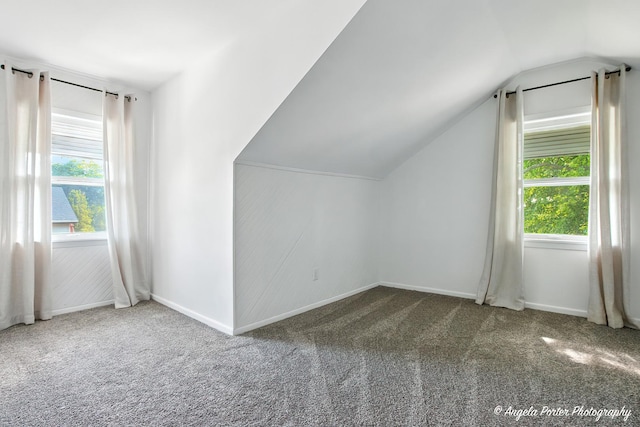 5535 Wonder Woods Dr, Wonder Lake, IL 60097 - additional living space featuring carpet floors, healthy amount of natural light, and vaulted ceiling