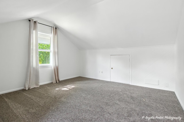 5535 Wonder Woods Dr, Wonder Lake, IL 60097 - additional living space with carpet and vaulted ceiling