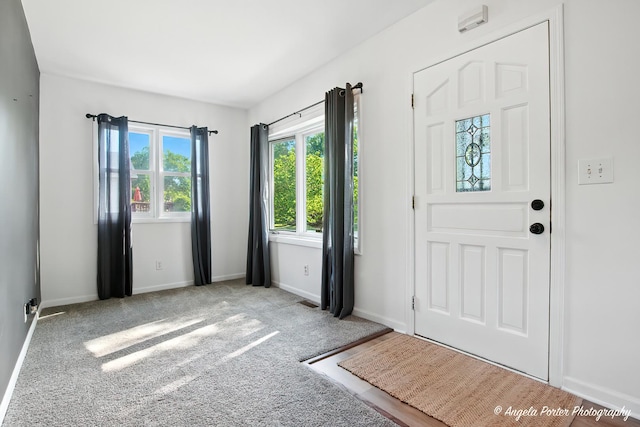 5535 Wonder Woods Dr, Wonder Lake, IL 60097 - carpeted foyer entrance with baseboards
