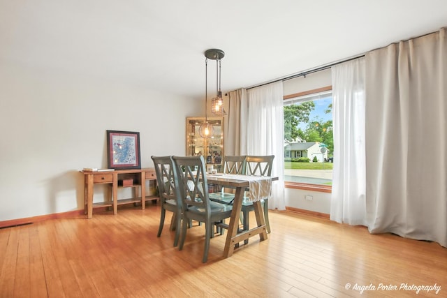 4725 Winnebago Dr, Wonder Lake, IL 60097 - dining area featuring light wood-style flooring