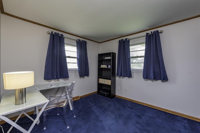 22271 W Terry Dr S, Lake Villa, IL 60046 - office featuring ornamental molding and dark carpet