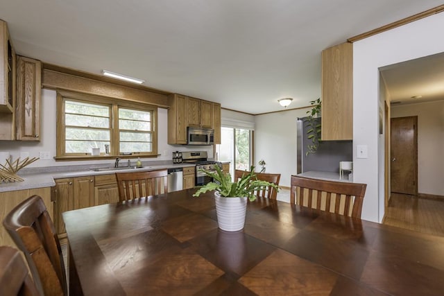 22271 W Terry Dr S, Lake Villa, IL 60046 - view of dining space
