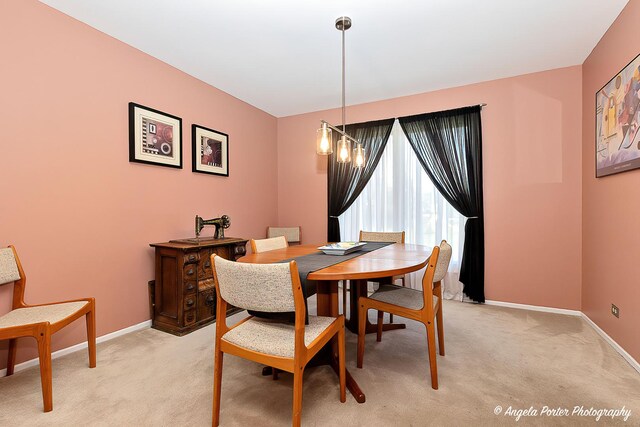 213 Stanton Dr, Buffalo Grove, IL 60089 - photo 8
