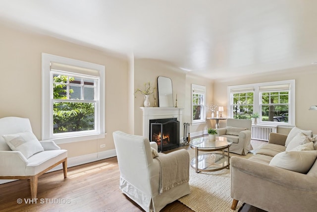 2539 Marcy Ave, Evanston, IL 60201 - living room with radiator heating unit, a fireplace, and light wood finished floors