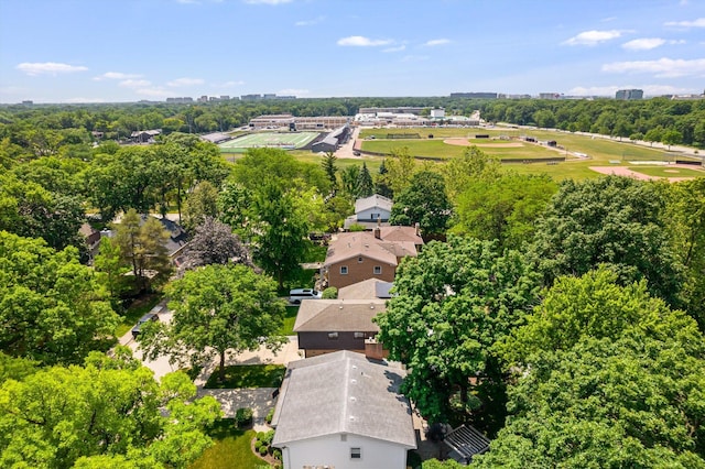 400 S Rose Ave, Park Ridge, IL 60068 - aerial view of a tree filled landscape