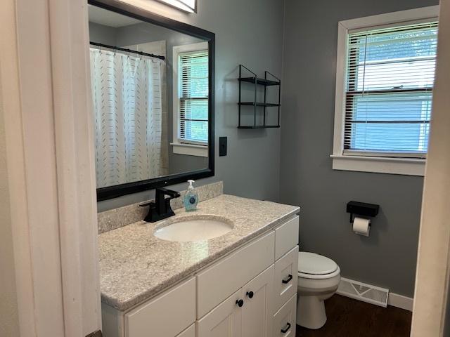 110 Shady Ln, Dixon, IL 61021 - full bathroom featuring vanity, plenty of natural light, wood finished floors, and a shower with shower curtain