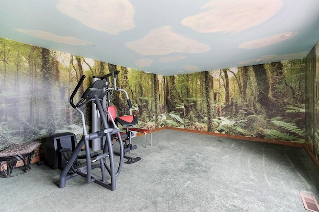 41W072 Bowes Rd, Elgin, IL 60124 - workout room with carpet