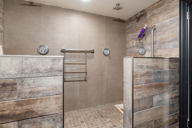 41W072 Bowes Rd, Elgin, IL 60124 - bathroom featuring a walk in shower