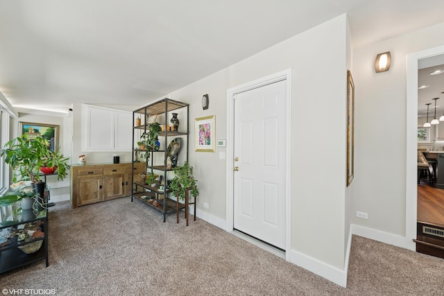316 S Reuter Dr, Arlington Heights, IL 60005 - foyer entrance with carpet and baseboards