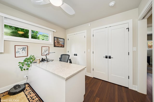 316 S Reuter Dr, Arlington Heights, IL 60005 - office area with dark wood-style flooring and a ceiling fan