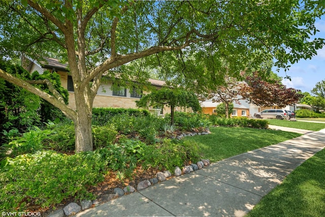316 S Reuter Dr, Arlington Heights, IL 60005 - view of front facade with a front yard