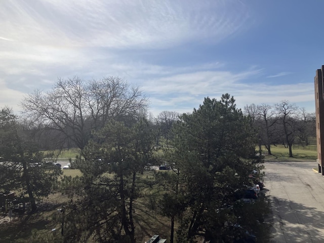 400 Park Ave Unit 411, Calumet City, IL 60409 - photo 15