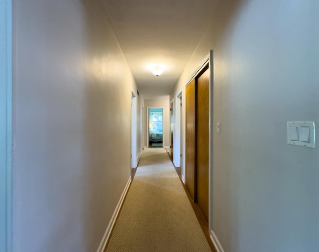 1219 Golf Ln, Wheaton, IL 60189 - photo 14