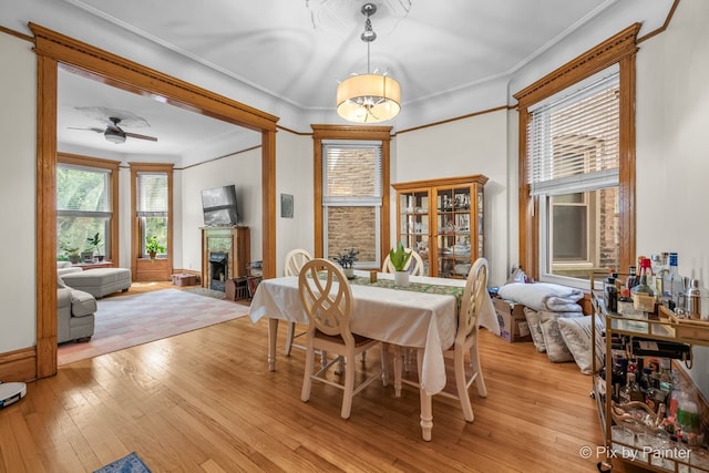 3516 N Reta Ave, Chicago, IL 60657 - dining room featuring light wood-type flooring, plenty of natural light, a ceiling fan, a fireplace, and crown molding
