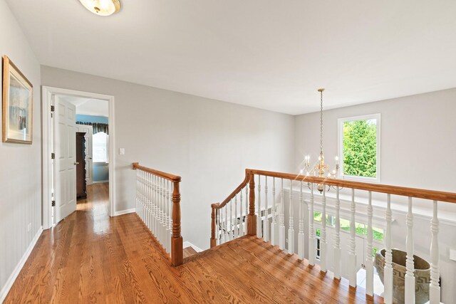 4N694 Mountain Ash Dr, Wayne, IL 60184 - photo 35
