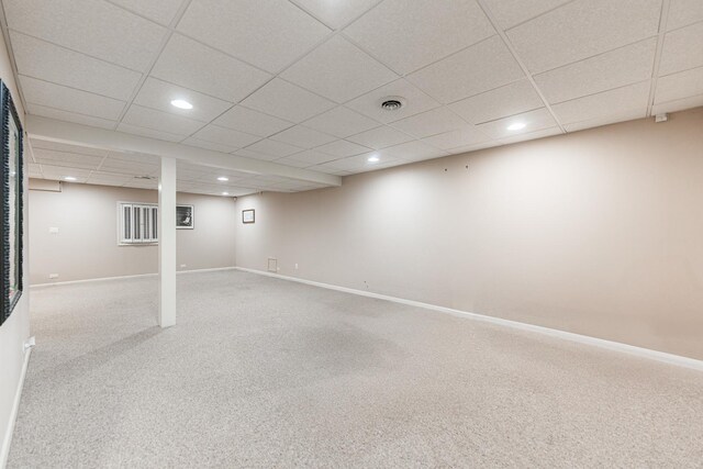 4N694 Mountain Ash Dr, Wayne, IL 60184 - photo 47