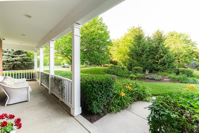 4N694 Mountain Ash Dr, Wayne, IL 60184 - photo 55