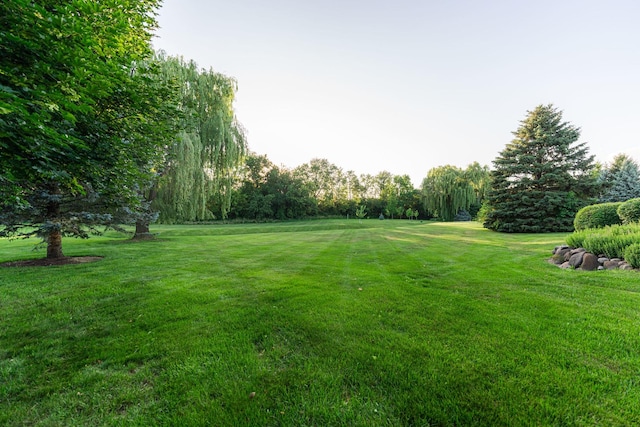 4N694 Mountain Ash Dr, Wayne, IL 60184 - photo 73