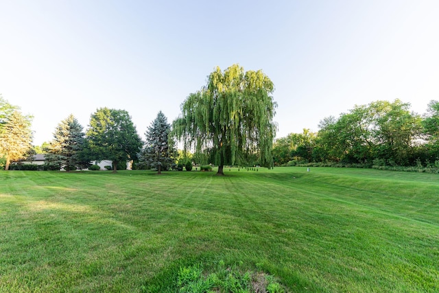 4N694 Mountain Ash Dr, Wayne, IL 60184 - photo 75