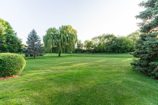 4N694 Mountain Ash Dr, Wayne, IL 60184 - photo 76