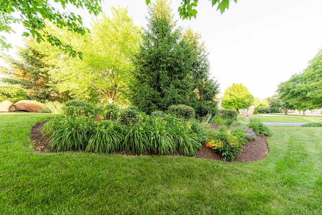 4N694 Mountain Ash Dr, Wayne, IL 60184 - photo 78