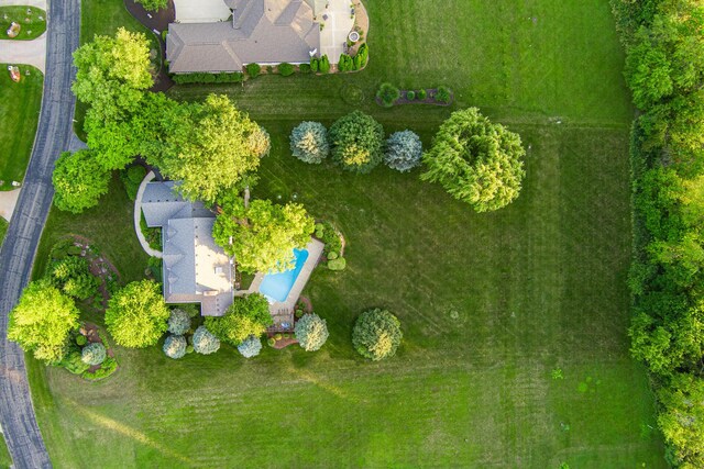 4N694 Mountain Ash Dr, Wayne, IL 60184 - photo 100