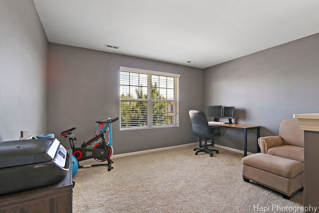 218 Minuet Cir, Volo, IL 60073 - office space featuring carpet flooring and baseboards