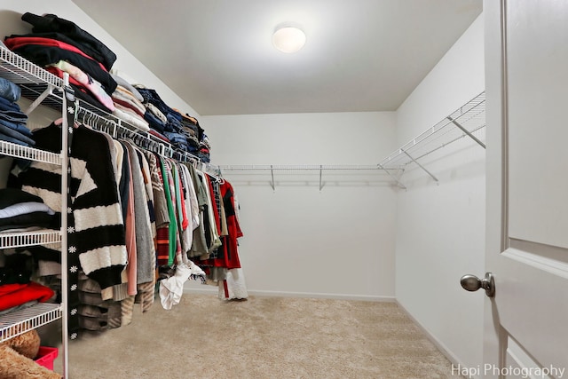 218 Minuet Cir, Volo, IL 60073 - walk in closet featuring carpet floors