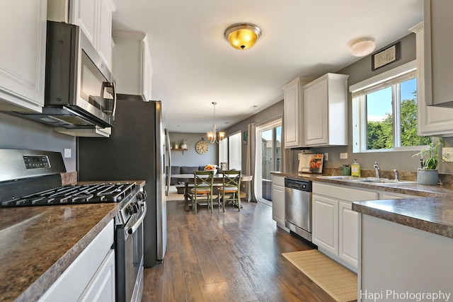 218 Minuet Cir, Volo, IL 60073 - kitchen featuring stainless steel appliances, dark countertops, healthy amount of natural light, and dark wood-type flooring