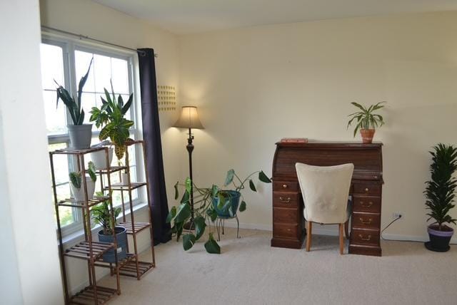 4355 Barharbor Dr, Lake In The Hills, IL 60156 - carpeted office space featuring baseboards