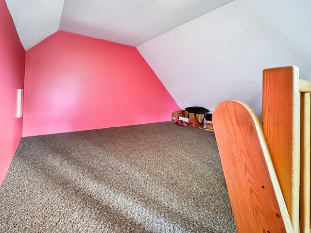 307 Christie St, Ottawa, IL 61350 - bonus room with lofted ceiling and carpet flooring