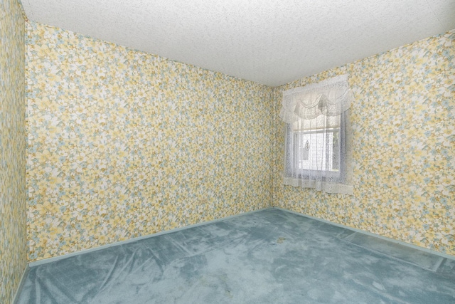 1723 N Raynor Ave, Crest Hill, IL 60403 - unfurnished room with carpet floors, wallpapered walls, and a textured ceiling