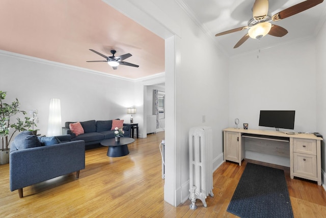 317 N Marion St, Oak Park, IL 60302 - living area with radiator heating unit, ceiling fan, crown molding, a desk, and light wood-type flooring