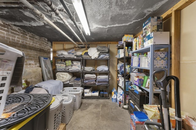 317 N Marion St, Oak Park, IL 60302 - view of storage