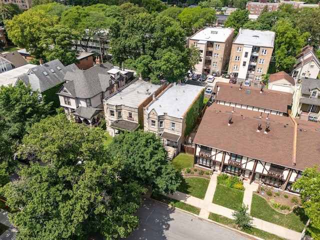 317 N Marion St, Oak Park, IL 60302 - aerial perspective of suburban area