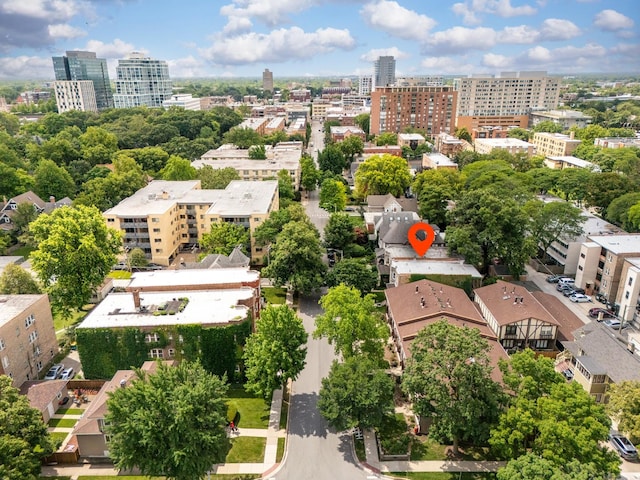 317 N Marion St, Oak Park, IL 60302 - view of urban area