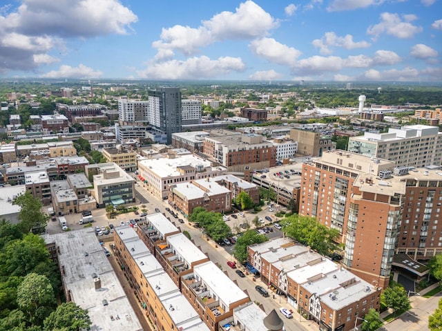 317 N Marion St, Oak Park, IL 60302 - view of urban area