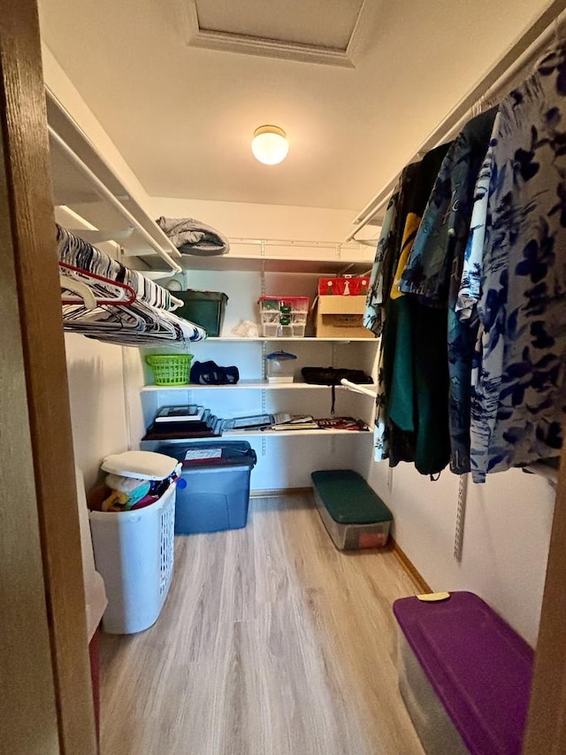 2525 E 6th St, Belvidere, IL 61008 - spacious closet featuring wood finished floors and attic access