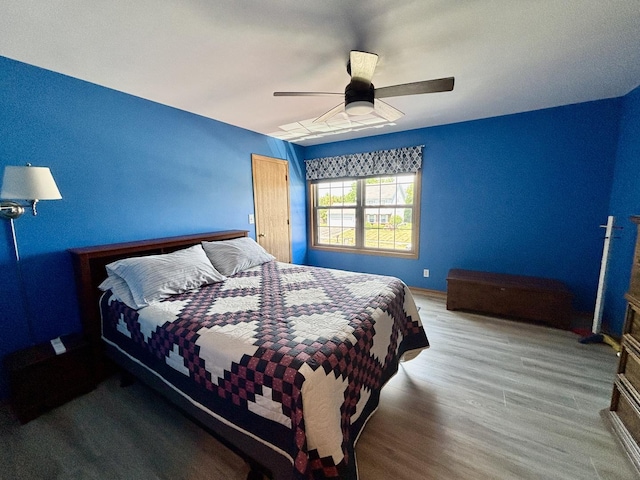 2525 E 6th St, Belvidere, IL 61008 - bedroom featuring wood finished floors, ceiling fan, and a closet