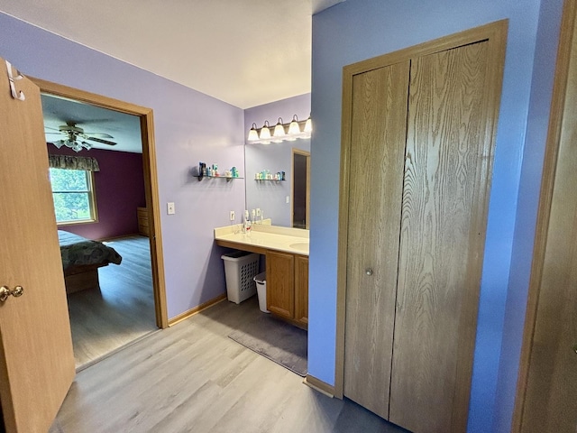 2525 E 6th St, Belvidere, IL 61008 - full bath featuring wood finished floors, connected bathroom, and vanity