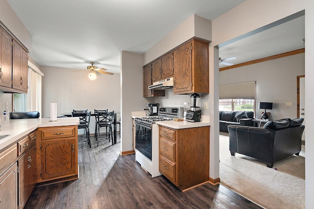 831 Horseshoe Dr Unit B, Joliet, IL 60435 - kitchen featuring gas stove, ceiling fan, under cabinet range hood, and dark wood-type flooring
