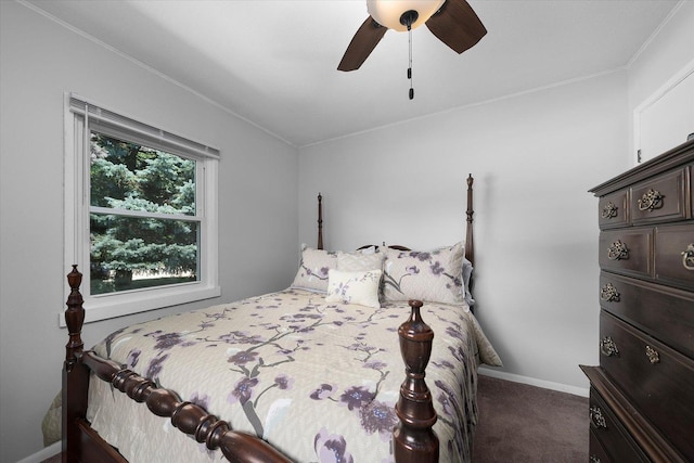 804 Elm St, Maple Park, IL 60151 - photo 16