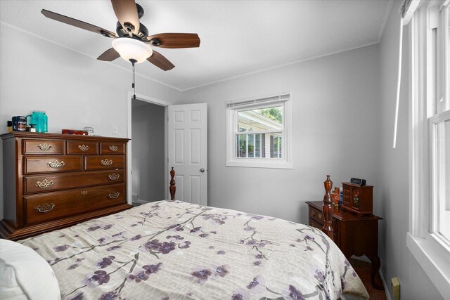 804 Elm St, Maple Park, IL 60151 - photo 17