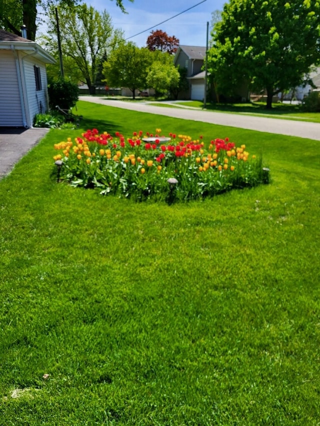 804 Elm St, Maple Park, IL 60151 - photo 32
