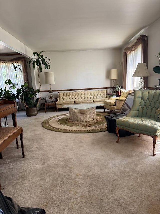 324 E 173rd Pl, South Holland, IL 60473 - view of carpeted living area