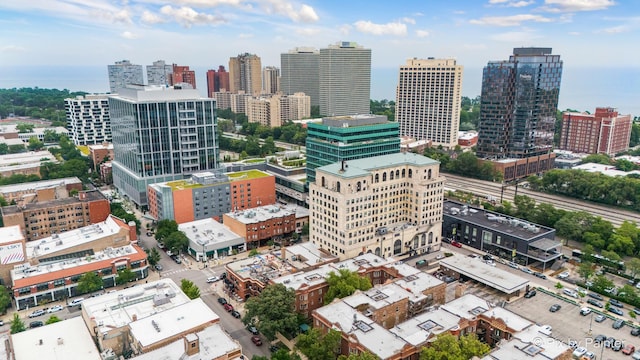 5323 S Harper Ave S Unit 1, Chicago, IL 60615 - city view
