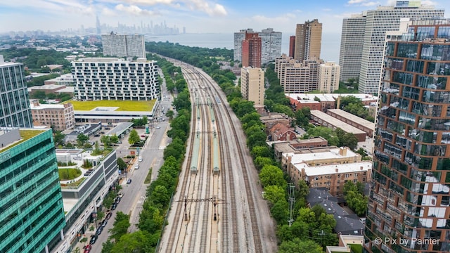 5323 S Harper Ave S Unit 1, Chicago, IL 60615 - view of city