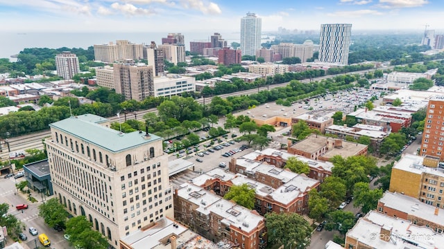 5323 S Harper Ave S Unit 1, Chicago, IL 60615 - view of urban area